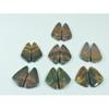 Natural Bloodstone Jasper Matched Pair Fancy Cabochon Gemstone 07 Pair Lot C-3332