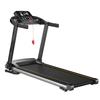 Aobesen Foldable Electric Smart Treadmill CN plug (adapter included)