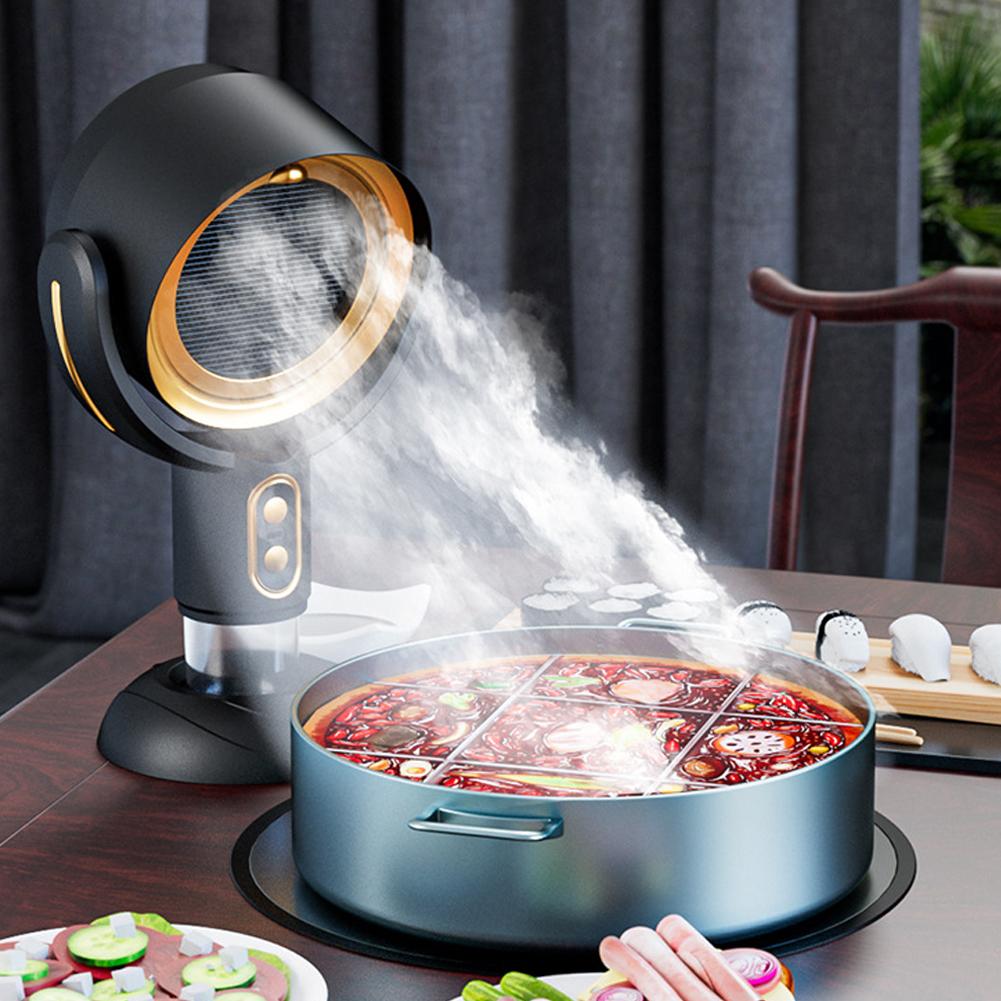 Negative Ion Range Hood Cleaner Air Purifier for Kitchen Compact Flexible Air Cleaner Reduce Oil Fumes Odors Healthier Living