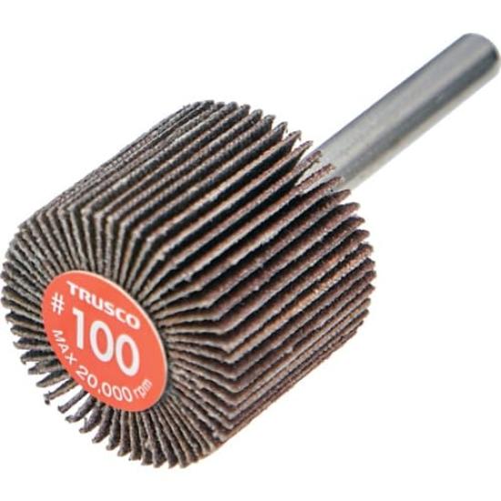 TRUSCO Economy Flap Shaft Diameter Outer Diameter 30mm x Width 25mm x Shaft Length of Wheel, 6mm, 35mm, #100 (Pack 5) EF3025-100
