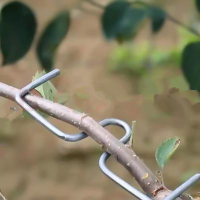 Fruit Tree Branch Spreader Alloy Bonsai Shaping Tool 8cm 10cm 12cm Adjustable Crotch Angle for Enhanced Growth Fruit Production