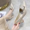 Women's Gentle High Heels Spring 2025 New Design Temperament Thick Heel Pointed Not Tired Feet Single Shoes Women's Summer