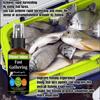Saltwater Fishing Fish Attractant Spray:Quickly Attracts Fish,Stimulates Appetite,Promotes Fast Bites & Harvest for Ocean Angler
