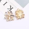 Water Drop Rhinestone Flower Leaf Alloy Fashion Bow Tie & Shoe Ornament Accessory.