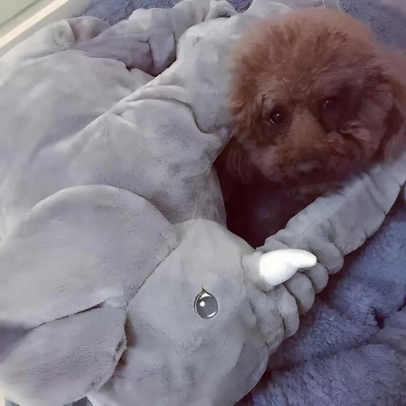 Cute Elephant Soft Plush Cushion Exquisite Elephant Stuffed Cushion Comfortable Sofa Throw Pillow Animal Doll Home Decoration