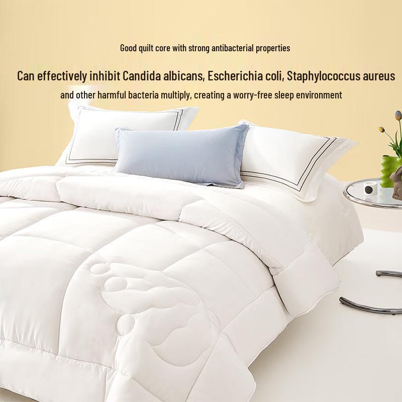 BELLEIS Soybean Antibacterial All-Season Quilt