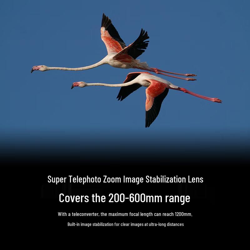 Sony FE Full-Frame Telephoto Zoom Lenses