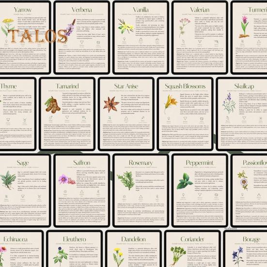 Poradnik ziołowy 82 Rośliny lecznicze Przewodnik po ziołolecznictwie ziołowym Środki ziołowe i przepisy Apteka