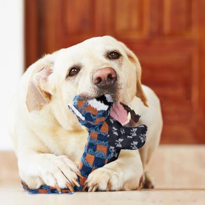 Interaktives Plüschhundespielzeug Unzerstörbares Hund Hartes Kauspielzeug für aggressive Kauer Quietschend Gefüllt
