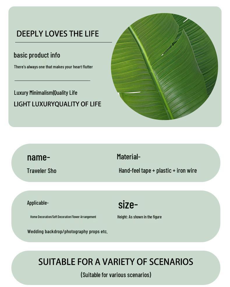 Large Monstera Banana Leaf Plant for Indoor Display and Corner Landscaping