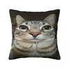 Cat Looking Directly At You Square Pillowcase Pillow Cover Polyester Cushion Zip Decorative Comfort Throw Pillow for Home Car