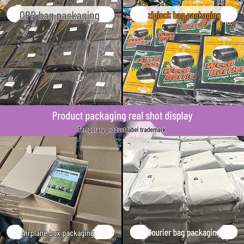 Black PP Weed Barrier Cloth: Breathable, Water-Permeable Ground Cover for Orchards and Gardens