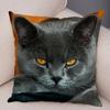 Cute Pet Animal Print Pillowcase Funny  Cat  Decoration Car Sofa Home Cushion Cover