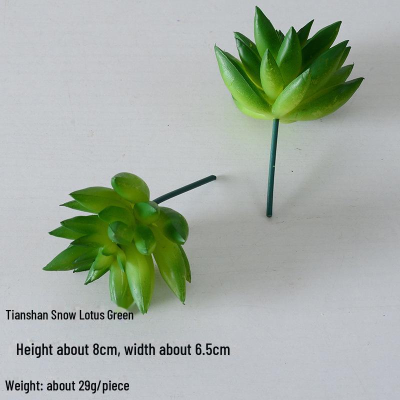 Mini Flocking Artificial Succulent Bonsai for DIY Wall Decor