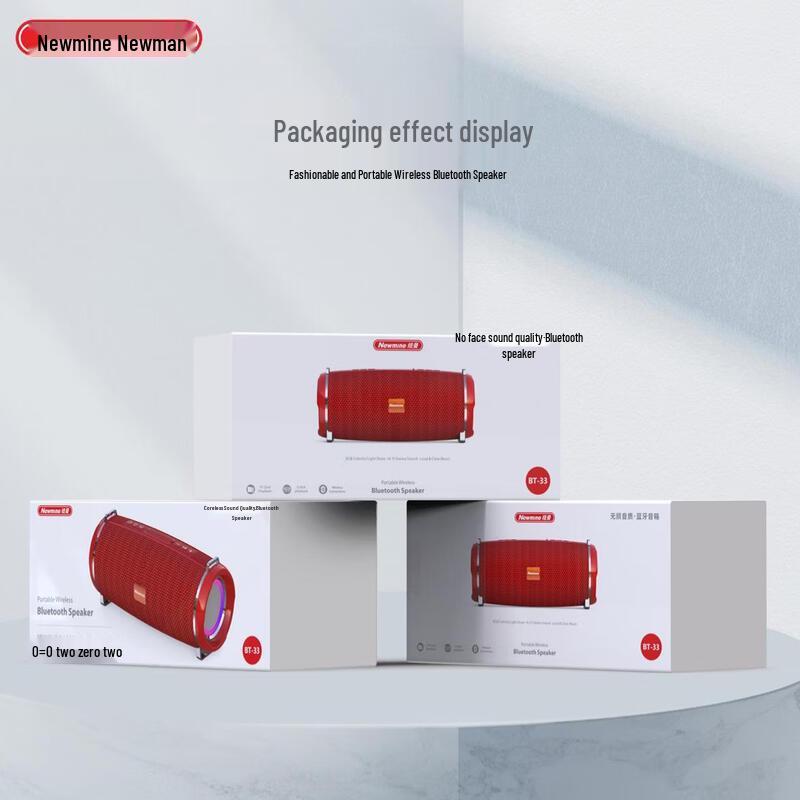 

Newman Portable Bluetooth Speaker BT33 CN plug (adapter included)