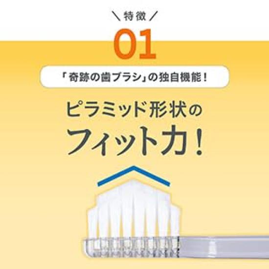 Miracle Toothbrush Clear Black for Adults [Regular] 12-Pack [Authentic Product] [Official]