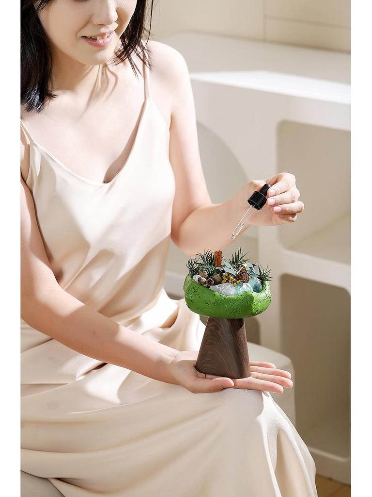 Wilderness Secret Scented Stone Diffuser Gift Set - Indoor Flameless Aroma Ornament for Holidays and Parties