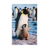 Next.design Tapestry Penguin Parent and Child Animal North Pole Aquarium Cute Pet Stuffed Toy Stylish Natural Simple Large Size Large Healing Room