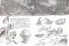 The Hobbit: Fantasy Images by Tolkien and Alan Lee