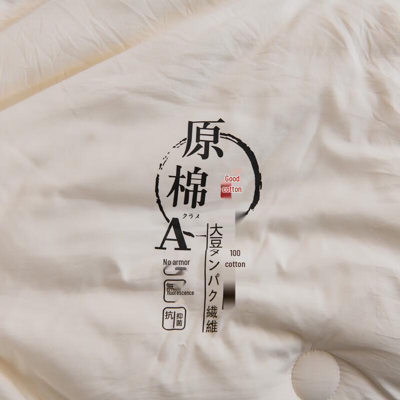 Bijiaman Four Seasons Comforter