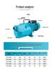220V Household Self-Priming Jet Pump for Well Water and High Head Boosting