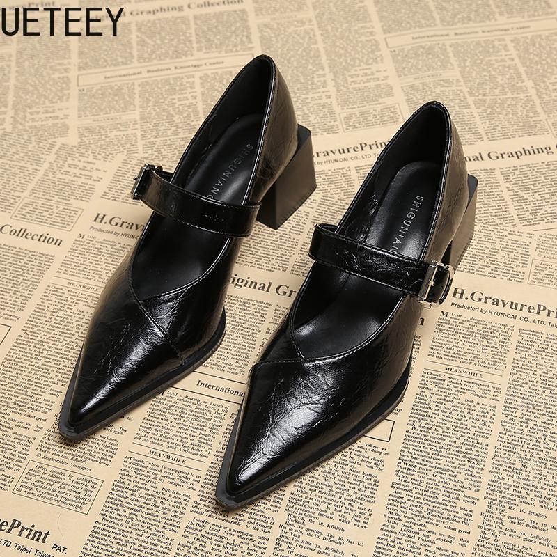 Fashion Designer Vintage Pointed Toe Women Mary Jane Shoes Fashion Shallow Buckle Shoes Spring Ladies Elegant Dress Thick Heel Shoes