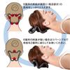 Alphax Head Refreshing Stretch Massager for and Neck Black Head, Shoulders, - Acupressure,
