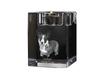 Cardigan Welsh Corgi I – Candle holder with dog photo, crystal tealight holder | Art-Dog
