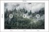 Photomural Forest In The Morning Mist Non-Woven 315x210