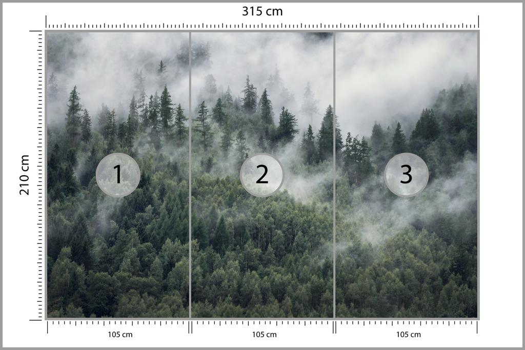 Photomural Forest In The Morning Mist Non-Woven 315x210