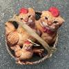 Kreatives Katzen-Hühnchen-förmiges Plüschtier Weiche flauschige Stoffpuppe Nicht reizendes Gewebe Perfekt für Wohnkultur Babyparty-Geschenkoption