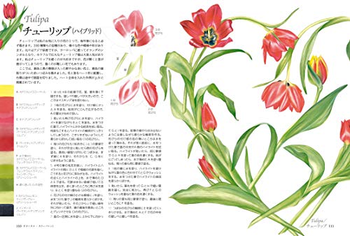 Botanical Color Palette