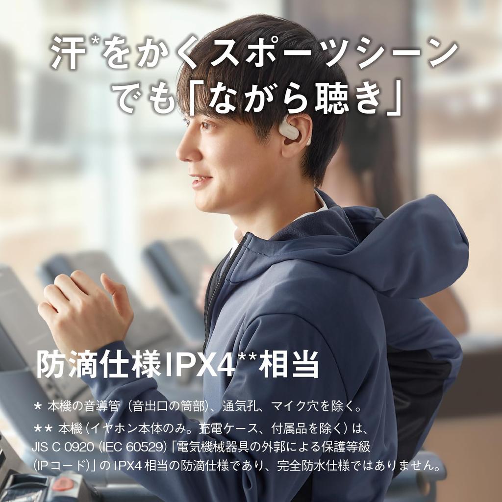 Panasonic Wireless Earphones, Open-Type, Multi-Point, Black, RB-F10D-K