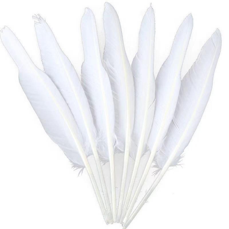 Bulk Long Colorful Goose Wing Feathers Pen Ballpoint Pen Metal Pretty Party Wedding Gift Craft Special Events