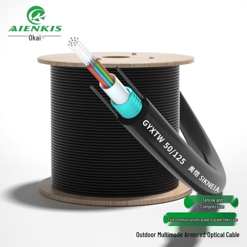 

Aienkis Armored 12-Core Multimode Outdoor Fiber Optic Cable