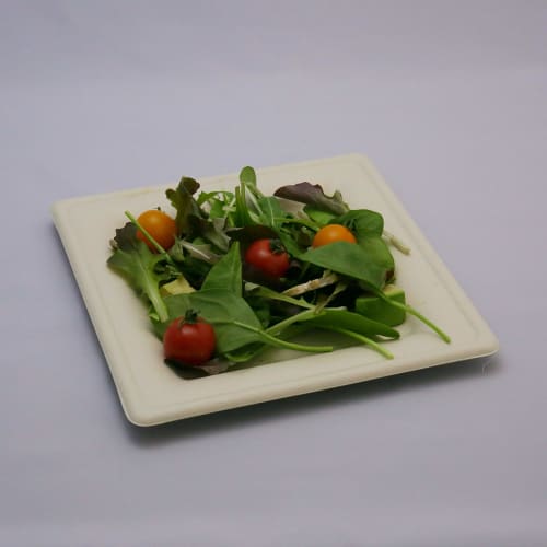Disposable, durable, eco-friendly square plates, unbleached molded wood, 20cm, P035M, pack of 50