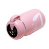 Stainless Steel Intelligent Thermos Bottle Digital Temperature Display Insulation Cup  Gift