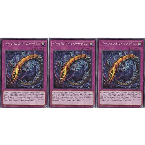 [Set of 3] Yu-Gi-Oh! SD41-JP040 Burgestoma Canadaia (Normal)