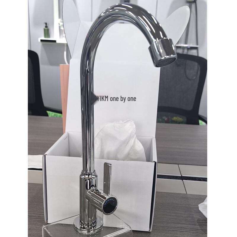 TLXT Stainless Steel Pull-Out Single Cold Kitchen Faucet
