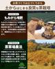 Arahataen Shizuoka Deep Steamed Tea Daichi no Uta Drinkable 100g6 bags set Green Leaves Japanese Second Flush Makinohara