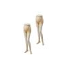 [Inujirushi Honpo] Maternity Run-Resistant Compression Pantyhose, 2 Pairs, with Front and Back Gussets, PS6152 Natural Beige, Size L~LL