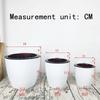 Wall-Mounted Flower Pot Automatic Water-Absorbing Plastic Circular Creative Wall Hanging Green Luo Small Flower Pot