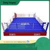 Sheng Tong Wei MMA Octagon Boxing Cage