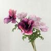 Artificial Flower UV Resistant Realistic Fake Silk Flower Stem Home Office Wedding Party Indoor Outdoor Faux Bloom Table Centerpiece