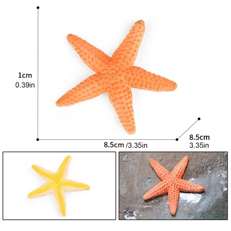 Simulated Plastic Fish Models Realistic Bass Fake Fish for Home Decoration and Science Exhibits