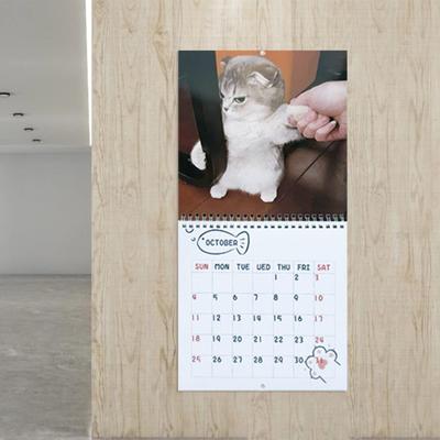 Unvernünftiger Katzenkalender 2026 Jan.2026 - Dez.2026 12-Monats-Kalender Lustiger Kätzchen-Wandplaner für Heim- und Bürodekoration