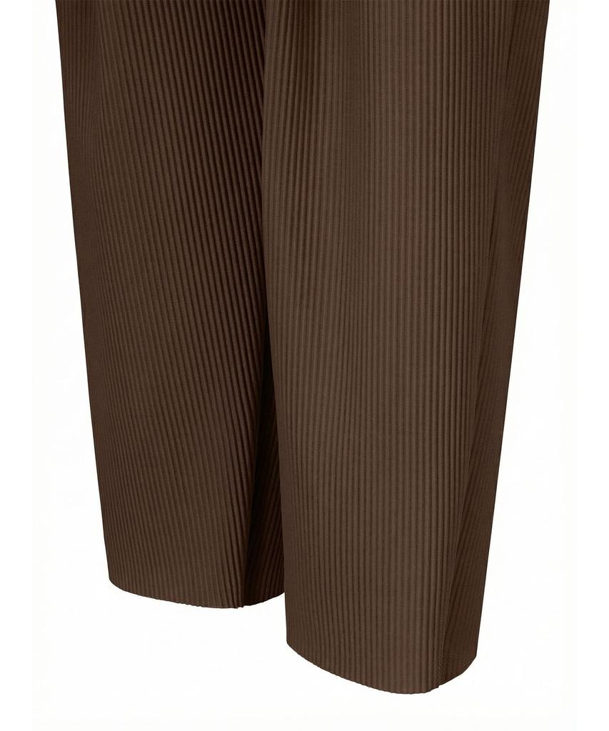 Akebteu Pt11X Pleated Wide Pintuck Pants [Brown]