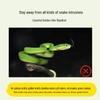 ShangKaoJia Outdoor Sulfur Powder Snake & Insect Repellent