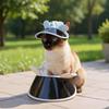 Gatos – Roupa para gatos