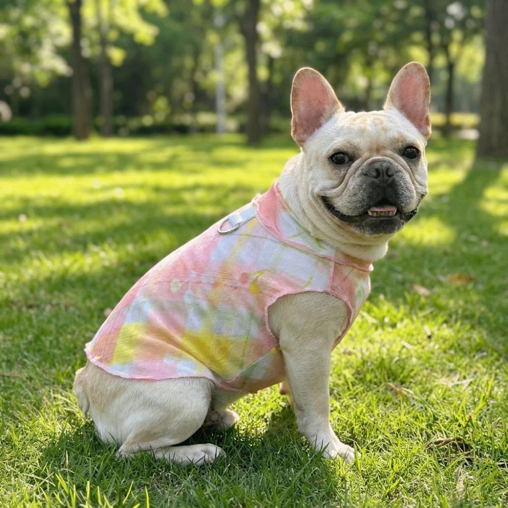 Cooling Pet T-Shirt Thin Breathable Sun Protection Clothes Dog Sunscreen Clothes Outdoor Activity